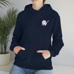 Tai Ais Hoodie